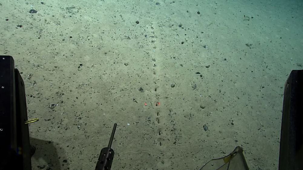 The Floor of the Ocean Is Riddled with Holes. There is No Explanation Given by Scientists
