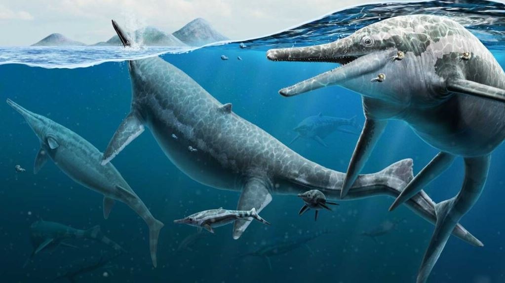 It's possible that the ichthyosaur cemetery was really a breeding area for the species
